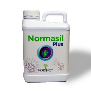 normasil