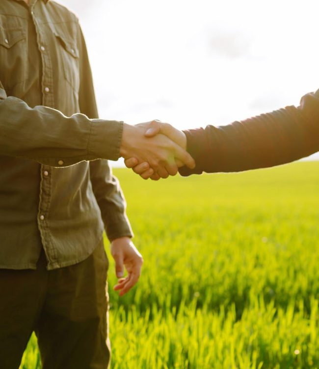fbm.agro.partner